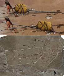 A new study found that very old footprints and drag marks in White Sands  National Park, New Mexico, might show how early people in North America  moved things around. These marks are