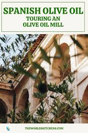 Ultimate Guide To Spanish Olive Oil And How Its Made Spain Travel Guide Travel Photography Europe Spanish Olive Oil