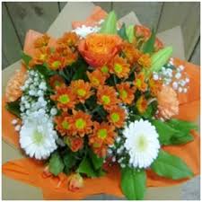 It will then be a prolific bloomer in successive years. Crazy Daisy Florist Sligo Sligo County Sligo Ireland Florist Exchange