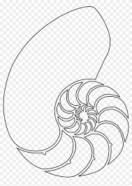 We did not find results for: Png Royalty Free Stock Seashells Clipart Outline Shell Nautilus Shell Drawing Transparent Png 1070x1462 48101 Pngfind