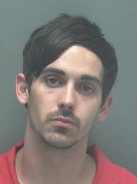 Lee County Arrests 6/11