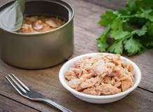 Image result for is canned tuna good for your cholesterol