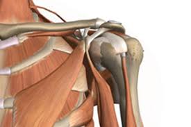 Andromache via amazon has the vybe percussion deep tissue massage gun on sale for $84.99 when you clip the coupon on the product page and apply promo code 30todayslick. Chiropractor Dayton Ohio Frozen Shoulder Chiropractor Dayton Oh Rotator Cuff Injury Massage Therapy Chiropractors