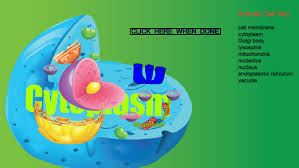 We did not find results for: Animal Cell Structure Tynker