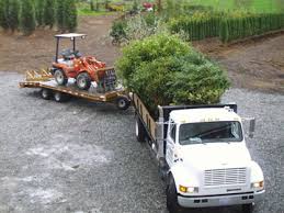 The trailer has a capacity of 112 tons and its bucket capacity is. Tree Arborist Transplanting Trees Move Tree Big Tree Supply