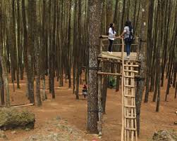 Gua ini merupakan salah satu objek wisata terkenal di. Wisata Imogiri Jogja