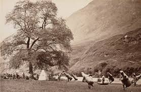 Bourne & Shepherd | Institutions ...