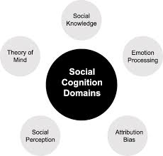 A systematic review of the effects of psychiatric medications on social  cognition | BMC Psychiatry | Full Text