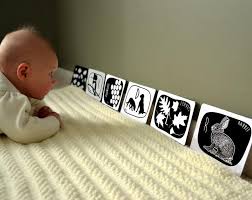 Black And White Baby Flash Cards Pdf Free Animals And Nature Alphabet Black And White Baby Art Flash Etsy In 2020 Black And White Baby Abc Cards Baby Art