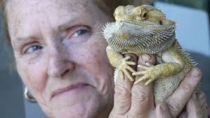 Best of 2014: Animals in the news