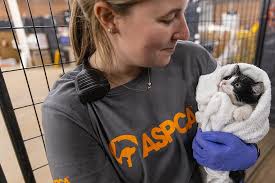 ASPCA Continues Hurricane Helene Recovery & Relief Efforts