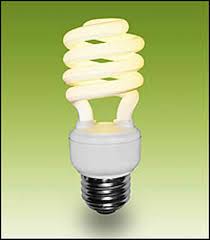 Cfl Bulbs Have One Hitch Toxic Mercury Fluorescent Light Bulb Light Bulb Compact Fluorescent Bulbs