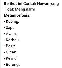 Tuliskan Tiga Contoh Hewan Yang Tidak Mengalami Metamorfosis Brainly Co Id