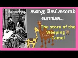 A family of nomadic shepherds assists one of the camels has an excruciatingly difficult delivery but, with help from the family, out comes a rare white colt. Popular Videos The Story Of The Weeping Camel Youtube
