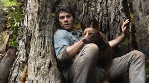Love and monsters magyar love and monsters 2020 popcorn time jessica henwick dylan o brien michael rooker and others damn pokl. Love And Monsters Magyar Love And Monsters 2020 Popcorn Time Jessica Henwick Dylan O Brien Michael Rooker And Others Damn Pokl