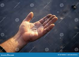 Image result for phlegmon of hand)