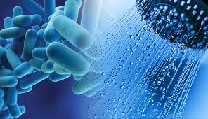 Image result for Legionella