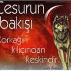 Ceddin Kurt Gercek Ses Li Remix Dj Qarizma Youtube Dj Remix Make It Yourself