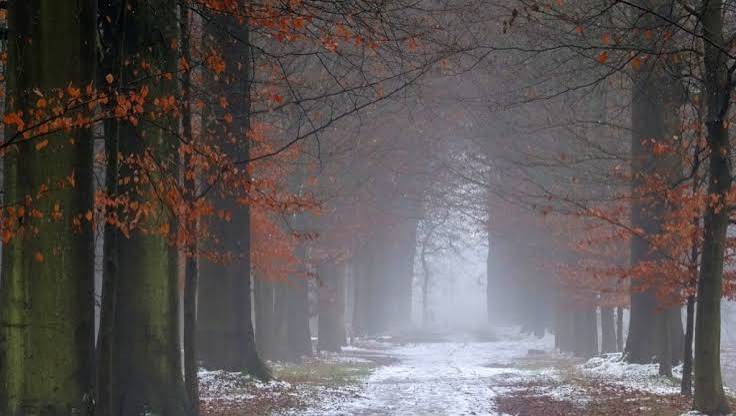 Warme en slimme cadeaus voor fanatieke wandelaars deze winter
