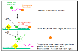 Image result for CSF PCR