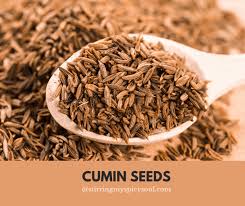 It has a high concentration of essential oil, which makes it aromatic. Cumin How To Use It In Cooking Stirringmyspicysoul