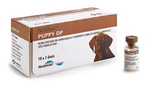 privivka ot kleshej dlya sobak nazvanie kogda delat cena otzyvy veterinarov