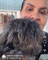 Amigos nos mandaron esta foto...