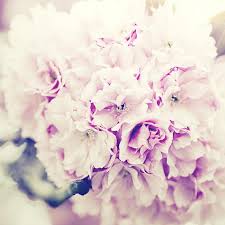 We did not find results for: Liverpool Florists Flowers Free Delivery Rosie S Florist