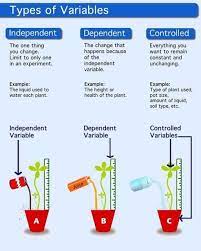 Identificati variabilele independente si cele dependente în urmatoarele situatii: Variabile Independente Dependente Si Departamentul De Sociologie Si Asistenta Sociala Uaic Facebook