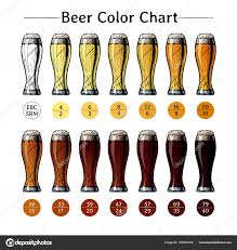 Beer Color Chart Stock Vector Suricoma 186562472