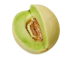Image result for Cucumis melo