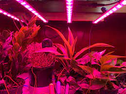 Free shipping · low prices · name brands · huge selection Tutorial Adding Led Grow Lights To The Smart Garden System Switchdoc Labs Blog