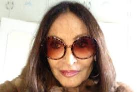 Artist's pet Chihuahua left fighting for life after being attacked by hawk  used to scare pigeons