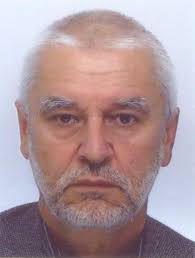 Annual Repor FEI STU 2015