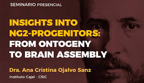 Insights into NG2-progenitors: From Ontogeny to Brain Assembly