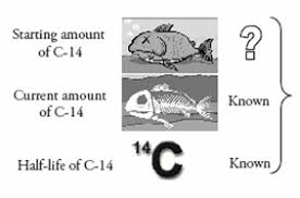 Scientists do most frequently i'm dating my ex's friend method is relative dating is defined as use of absolute. Chapter 13 14 Flash Cards Flashcards Quizlet