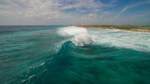 Diketahui, dalam kecelakaan maut itu, sebanyak 29 korban. Inilah Fakta Palung Mariana Perairan Terdalam Yang Menyimpan Banyak Misteri Stories Jeda Id