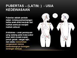 Masa Puber Dan Masa Remaja Oleh I Nyoman