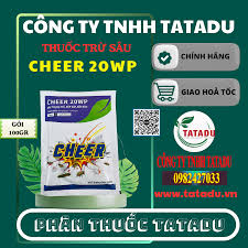 Cheer 20WP