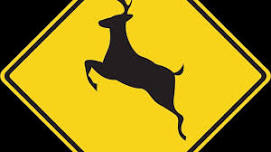 Introduction to Roadkill Harvest