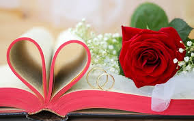 Happy anniversary flowers images free download. Happy Anniversary Wallpaper Data Src Download Happy Wedding Flowers And Rings 2560x1600 Wallpaper Teahub Io