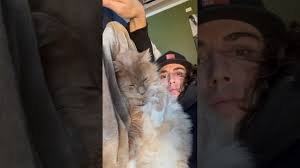 There is no Love like a cats Love. Humbled to be in the presence of  Chester's greatness!❤️🐈 #cats