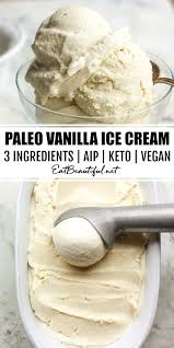 Paleo Vanilla Ice Cream Aip Vegan Keto Recipe Paleo Ice Cream Paleo Baking Paleo Sweets