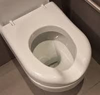 Should toilet seats and lids be left up or down, and how ...