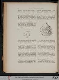 Bases neurocientíficas y aplicaciones prácticas (grado) en línea gratis pdf. Accademia Nazionale Dei Lincei Rom Hrsg Monumenti Antichi 25 1918