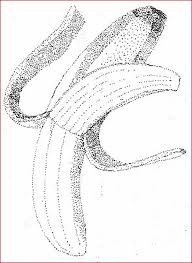 Ikan busuk jangan dibuang, buat perencah si daun kayu. Lukisan Teknik Tingkatan 2 Kemahiran Hidup Lukisan Teknik Tingkatan 2 Catatanilmubukaminda Blogspot Com Picture Lukisan Teknik Tingkatan 2 By F55ded76aed Flipsnack Ini Dipetik Dari Bahan Berikut Idrishaikal