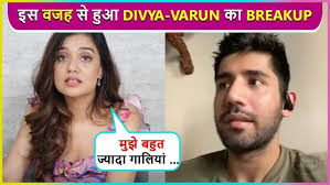 Divya Agarwal Reveals The Reason Behind Her Split With Varun Sood