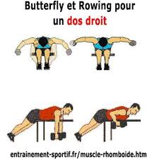 Musculation Epaule Avec Halteres Butterfly Inverse Et Rowwing Sur Banc En 2020 Exercice Epaule Exercice Gainage Exercice