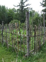 I Like This For Surrounding Gardens Tall Pieces For Wattling To Stack Up As Branches Come Down Each Season Rustic Garden Fence Garden Fence Fence Landscaping