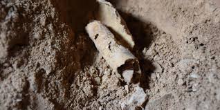 Dead Sea Scroll Cave Discovery in West Bank May Help Detect Forgeries